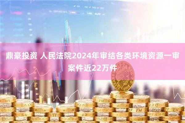 鼎豪投资 人民法院2024年审结各类环境资源一审案件近22万件