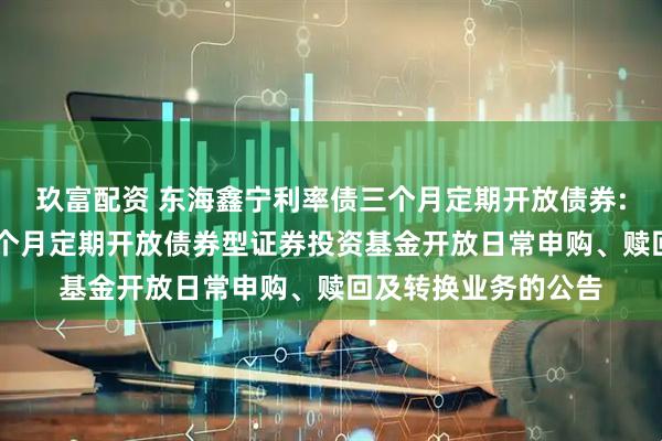 玖富配资 东海鑫宁利率债三个月定期开放债券: 东海鑫宁利率债三个月定期开放债券型证券投资基金开放日常申购、赎回及转换业务的公告