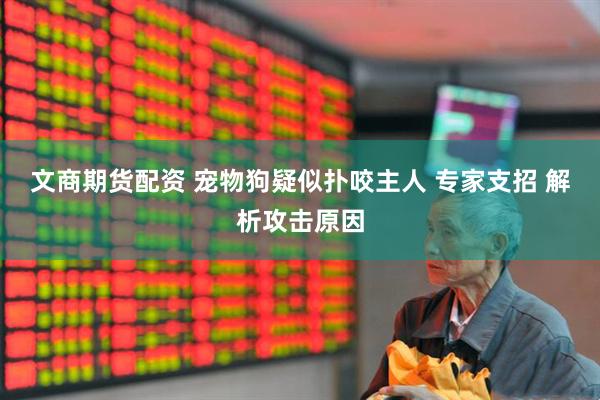 文商期货配资 宠物狗疑似扑咬主人 专家支招 解析攻击原因