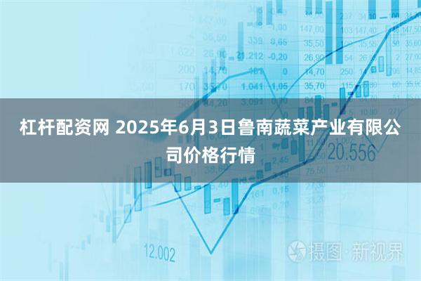 杠杆配资网 2025年6月3日鲁南蔬菜产业有限公司价格行情
