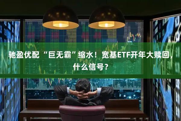 驰盈优配 “巨无霸”缩水！宽基ETF开年大赎回，什么信号？