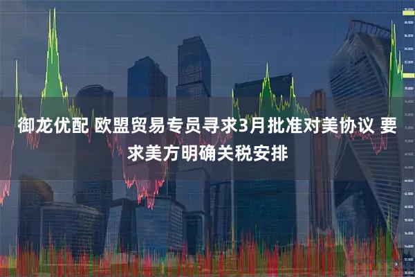 御龙优配 欧盟贸易专员寻求3月批准对美协议 要求美方明确关税安排