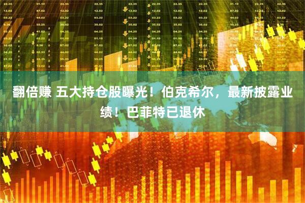 翻倍赚 五大持仓股曝光！伯克希尔，最新披露业绩！巴菲特已退休