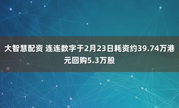 大智慧配资 连连数字于2月23日耗资约39.74万港元回购5.3万股